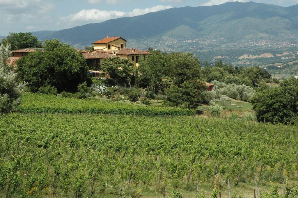 Locanda Casanuova Figline Valdarno Kültér fotó
