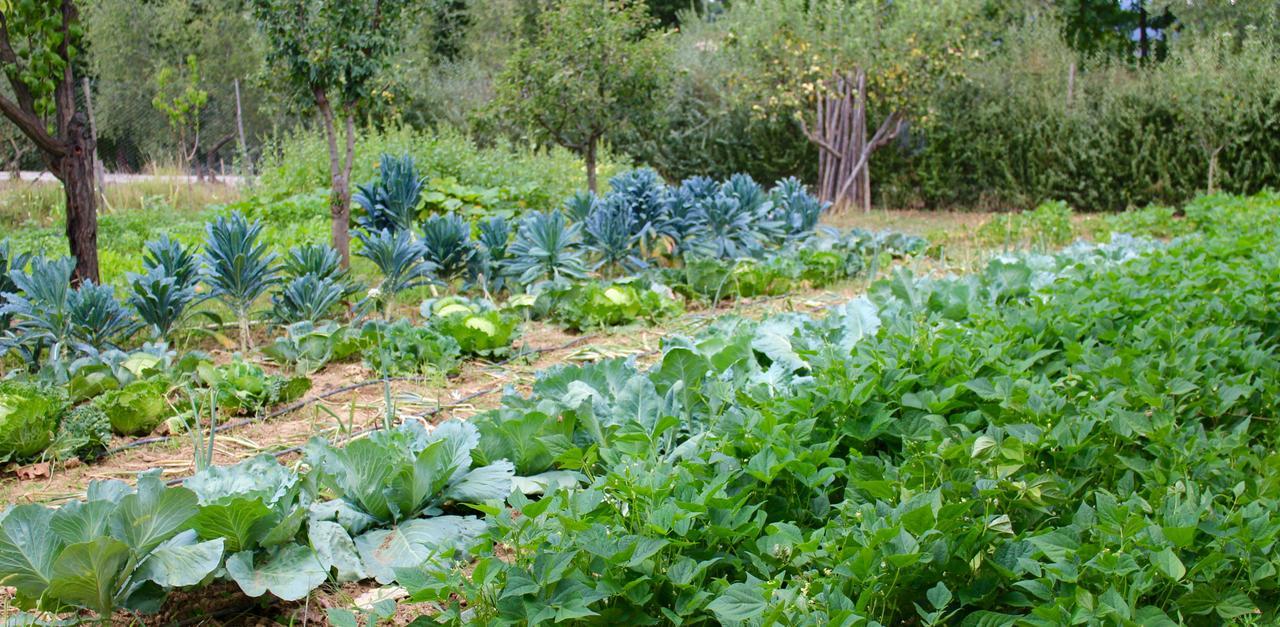 Locanda Casanuova Figline Valdarno Kültér fotó